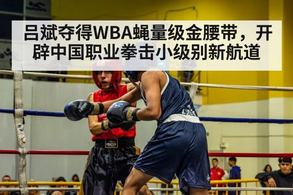 boxing match action