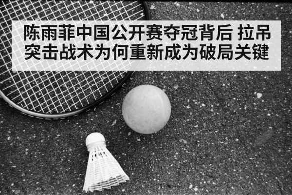 badminton tactics court